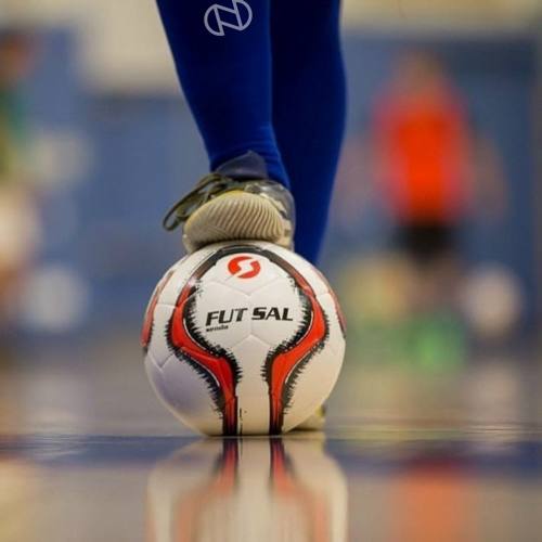 ВСЕРОССИЙСКИЕ СОРЕВНОВАНИЯ ПО МИНИ-ФУТБОЛУ (ФУТЗАЛУ) СРЕДИ КОМАНД ОБЩЕОБРАЗОВАТЕЛЬНЫХ ОРГАНИЗАЦИЙ В РАМКАХ ОБЩЕРОССИЙСКОГО ПРОЕКТА