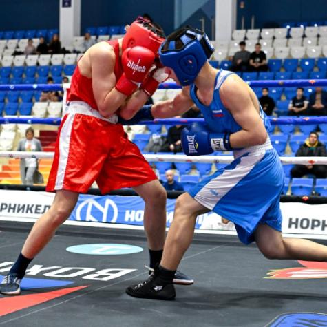 19 краевой турнир по боксу на призы группы компаний "Жар.птица"